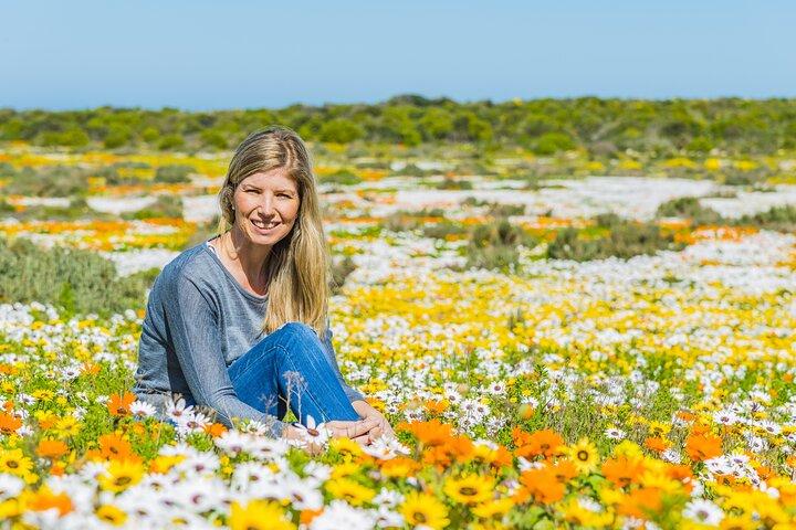 Cape West Coast Full Day Private Day Tour