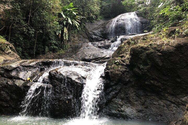 Regenwaldwanderung und Wasserfall Safari