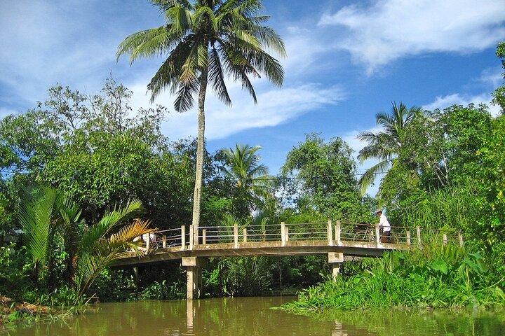 2-dages Mekong-tur, der besøger flydende marked fra Ho Chi Minh-byen