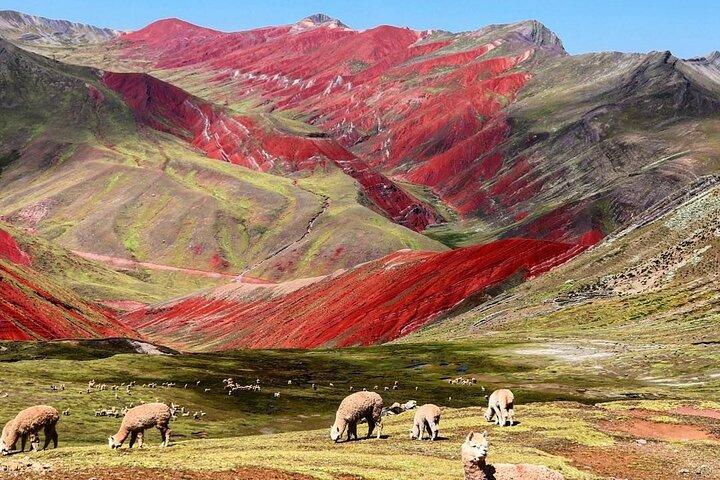Red Valley Cusco - Tour di un'intera giornata