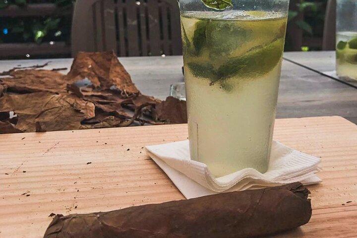 The Ultimate Beachside Cigar Rolling Experience with transfer