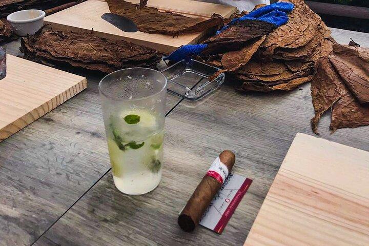 The Ultimate Beachside Cigar Rolling Experience with transfer