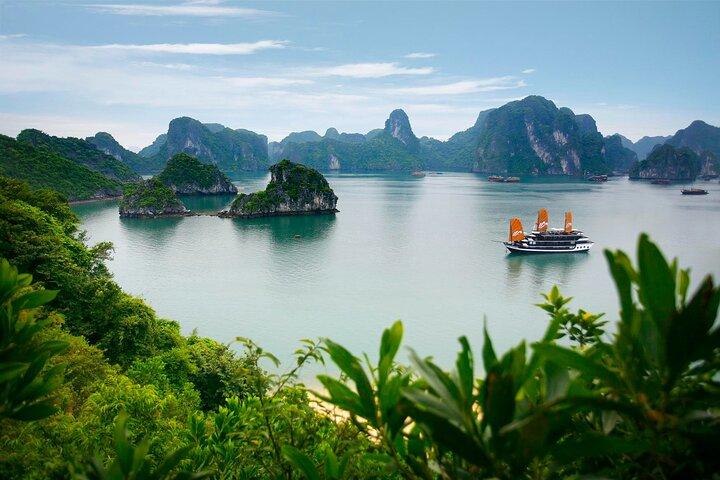 Vietnam Evidenzia 7 giorni
