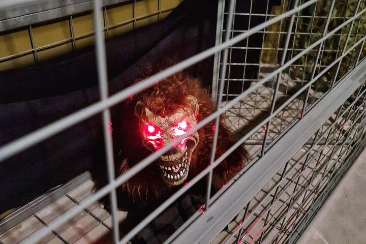 シンガポール:閉じ込められた脱出室入場チケット