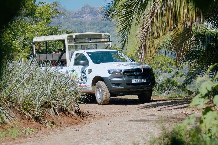 ALBERT TOURS: Excursion 4x4 safari with private SWING view point
