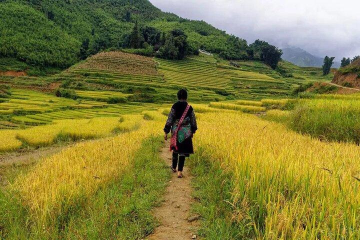 Sapa Local Trekking Adventures