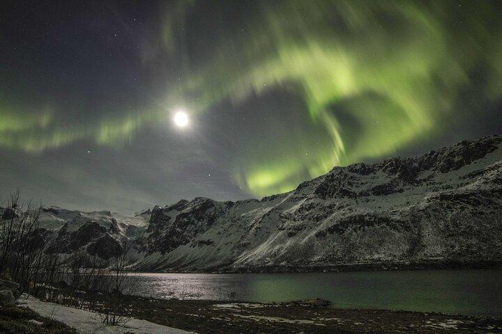 Chase aux aurores boréales avec photographie de Tromsø