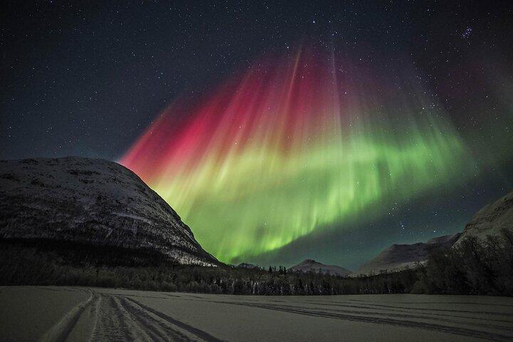 Chase aux aurores boréales avec photographie de Tromsø