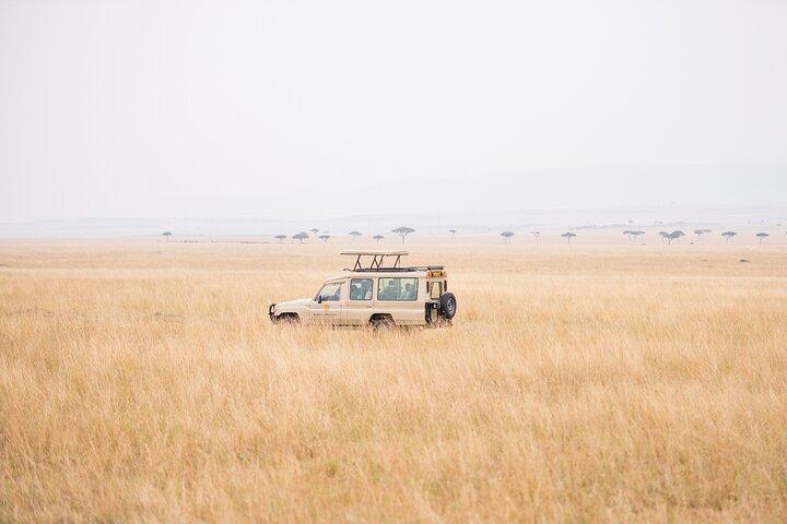 Privat 2-dages Diani Beach til Tsavo East Tour