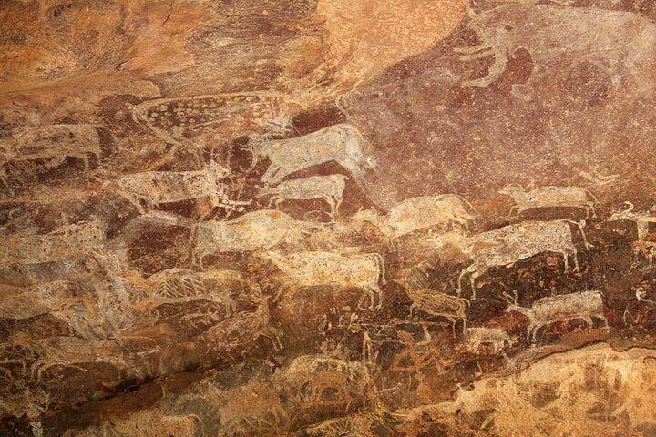 Bhimbetka Rock Shelters & Bhojpur Temple Day Trip From Bhopal