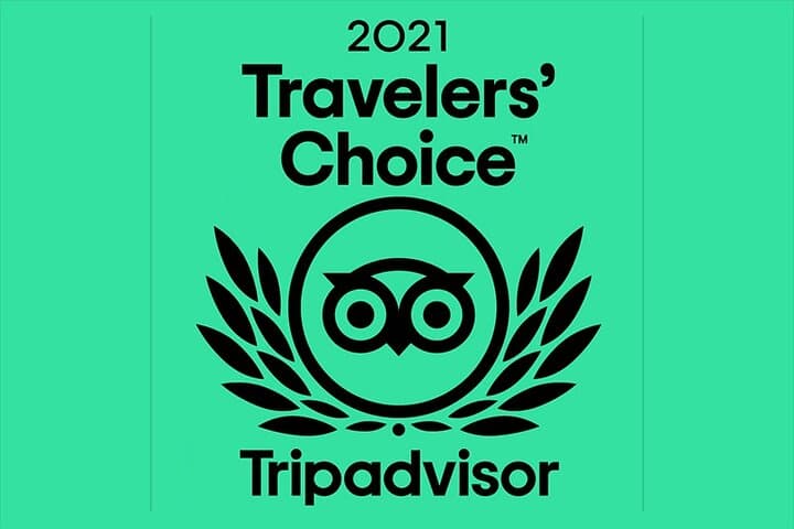 Cape Town Private Tour: Penguins, Cape Point & Chapman's Peak