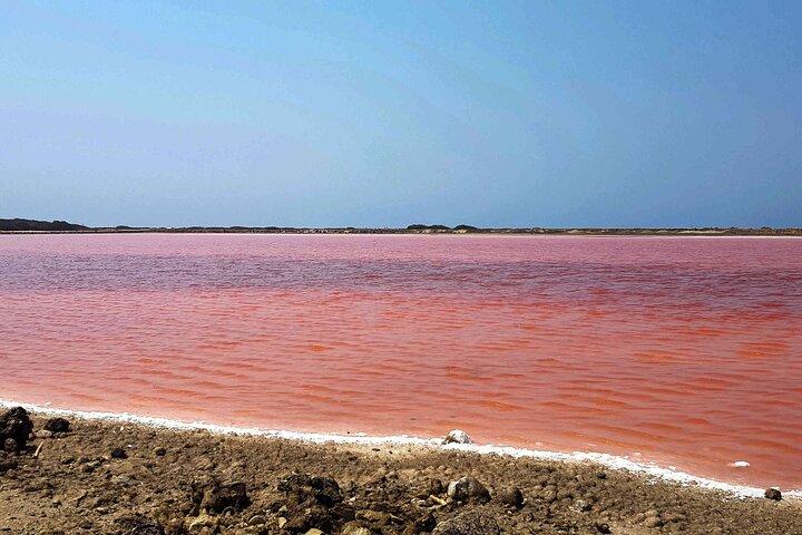 Tur til Totumo Volcano og Mar Rosa i Cartagena med frokost