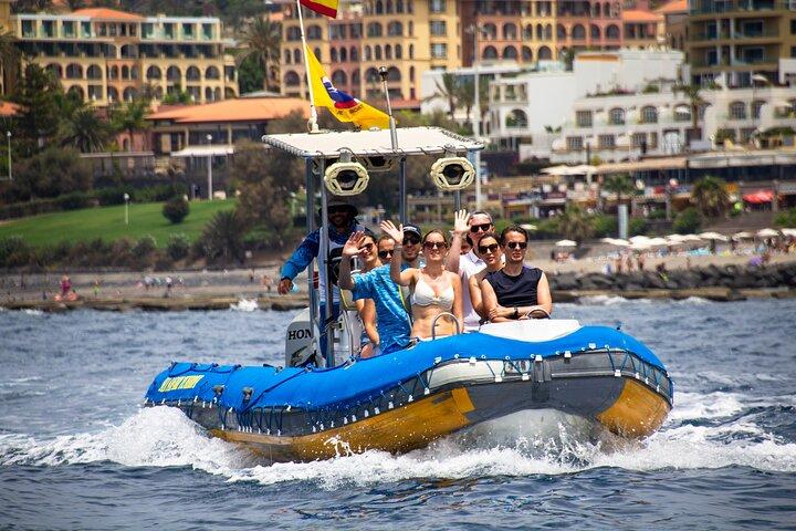 SAFARI IN MARE Delfini, Balene, 3 ore in motoscafo DISCOVERY-TOUR