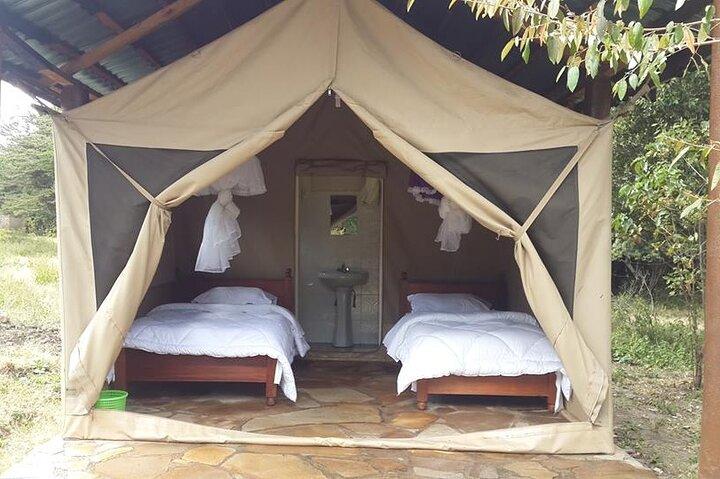 Safaris interactifs dans le Masai Mara