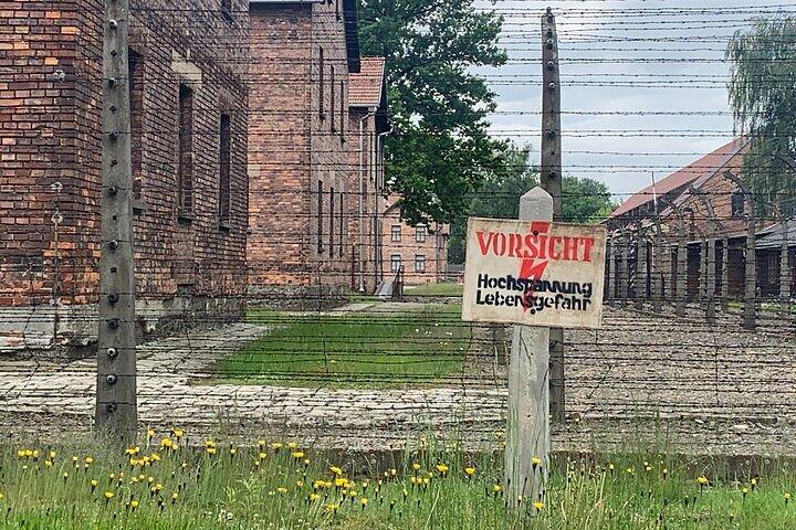 Krakow: Auschwitz-Birkenau guidad tur och hotellhämtning