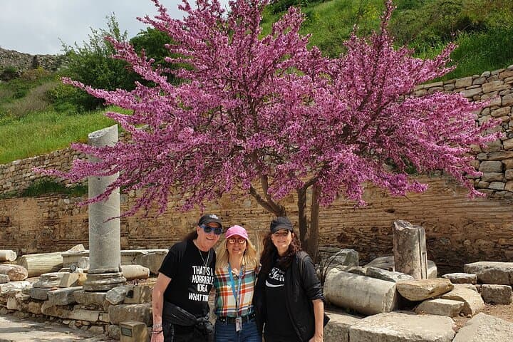Private Ephesus Highlights Half Day Tour From Izmir