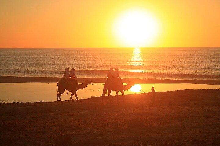 ATV og Camel Ride Combo Adventure i Los Cabos