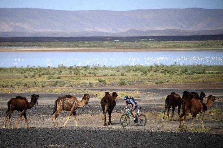 3 days from Marrakech Multi-day to Merzouga Shared group Experience