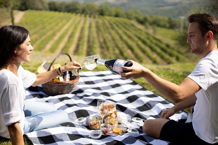 ワイナリーツアーとワインボトルを飲みながらブドウ畑でピクニック