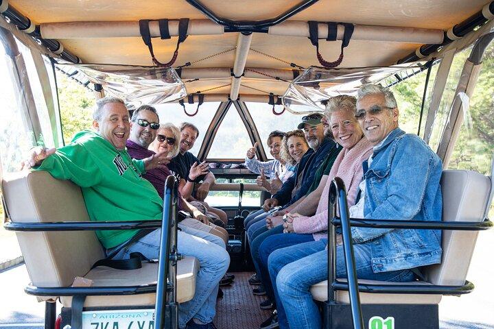 Tour in jeep per piccoli gruppi di Smoky Mountains Foothills Parkway