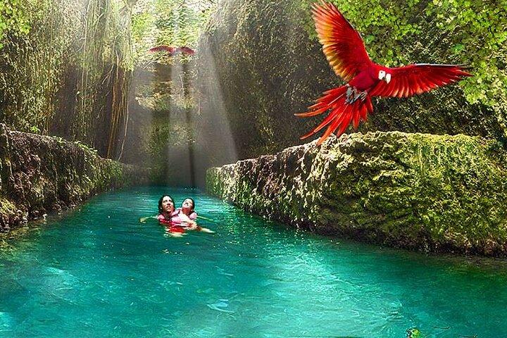 Xcaret Plus! Transporte incluído de Cancun e Riviera Maya