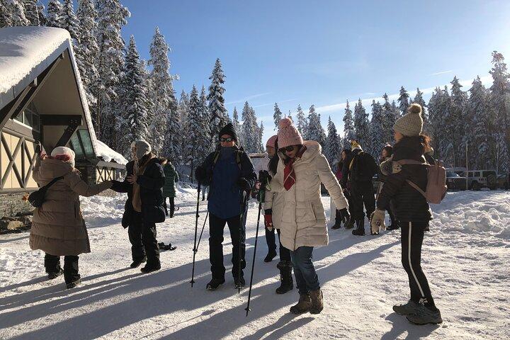 Vancouver til Banff 4-dages Rockies Lake Louise Sneeventyrtur Privat