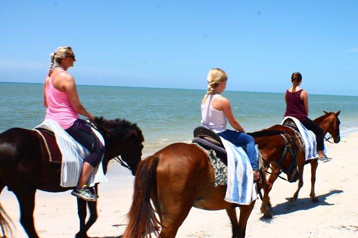 Équitation, shopping et déjeuner