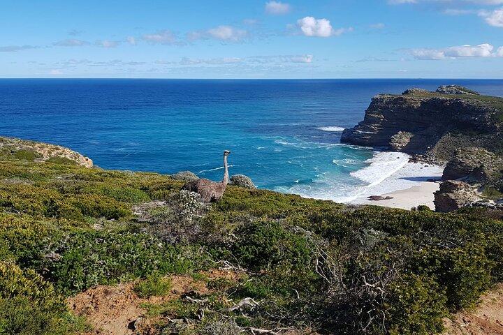 Full Day Cape Point Sightseeing Tour