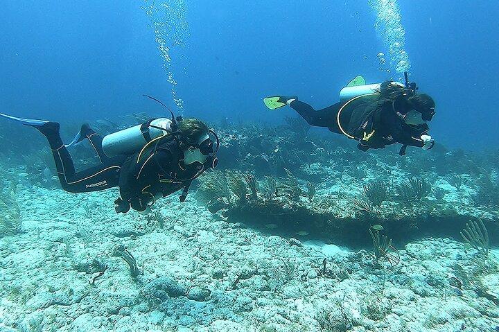 2 Tank Reef Dive i Mexico
