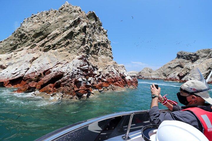 Ballestas-eilanden + Paracas-reservaat en Candelabra-boog – Ica en Paracas