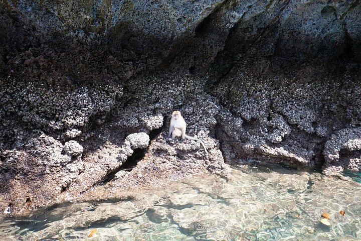 プーケットからスピードボートでピピ島とカイ島のシュノーケリングツアー