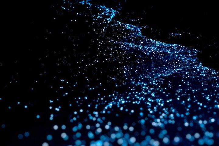 プエルト エスコンディドでの乗馬と生物発光のガイド付きツアー
