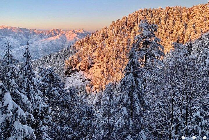 Randonnée d'une journée à Kaflani - Mussoorie
