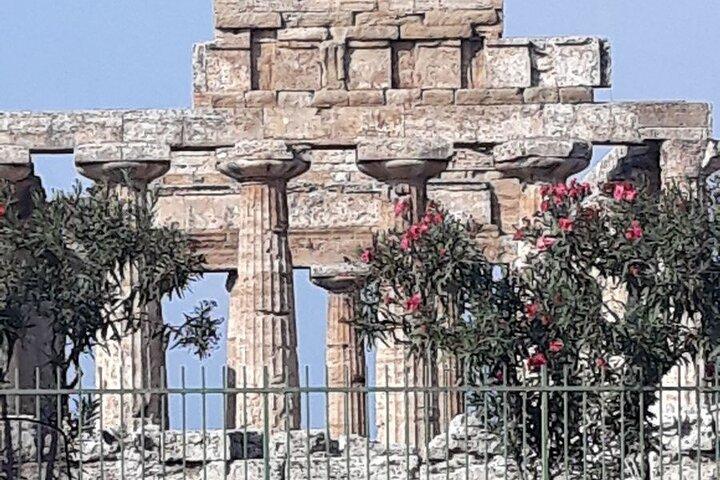 Paestum och Buffalo Farm Day Tour från Sorrento