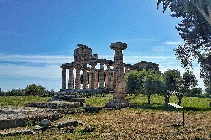 Paestum och Buffalo Farm Day Tour från Sorrento