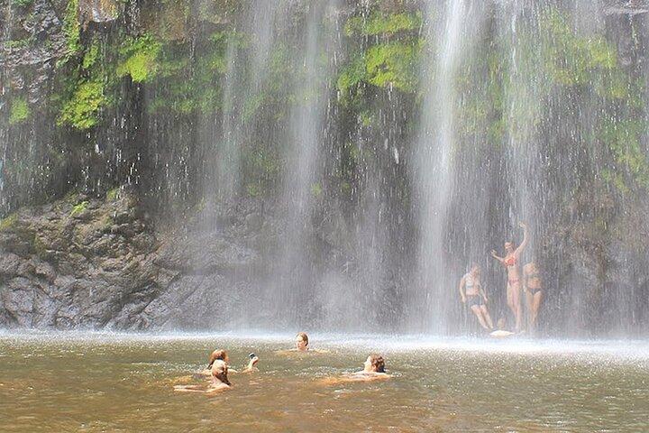 Excursión de 1 día a pie por la cascada de Materuni, el pueblo y el café