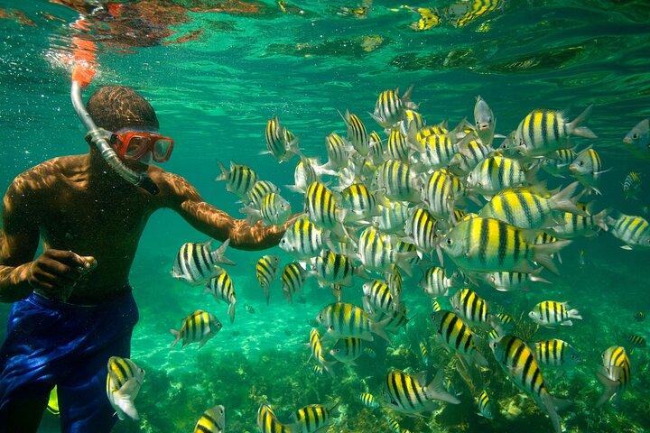 Negril Seven Miles Beach, snorkling, bådtur, Ricks Cafe Combo