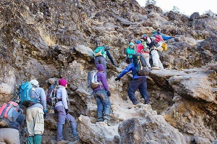 Kilimanjaro 7 Day Private Trekking Experience