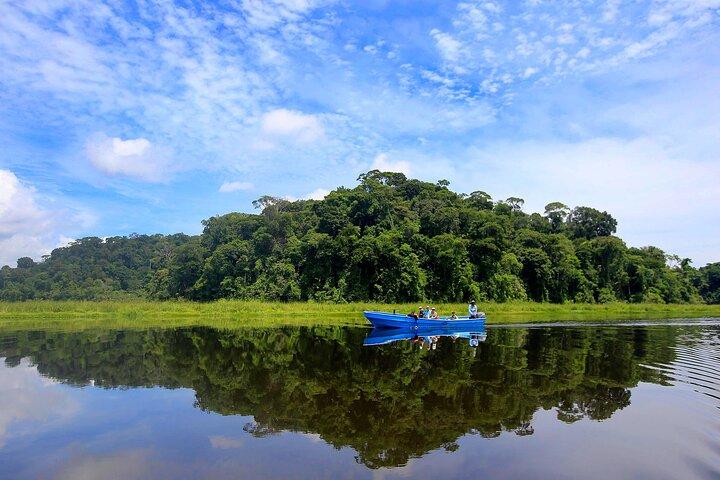 Excursão de um dia ao mangue de Térraba-Sierpe de barco de Sierpe