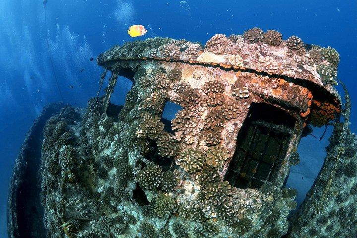認定ダイバー: オアフ島沖2タンクディープレックとシャローリーフダイブ