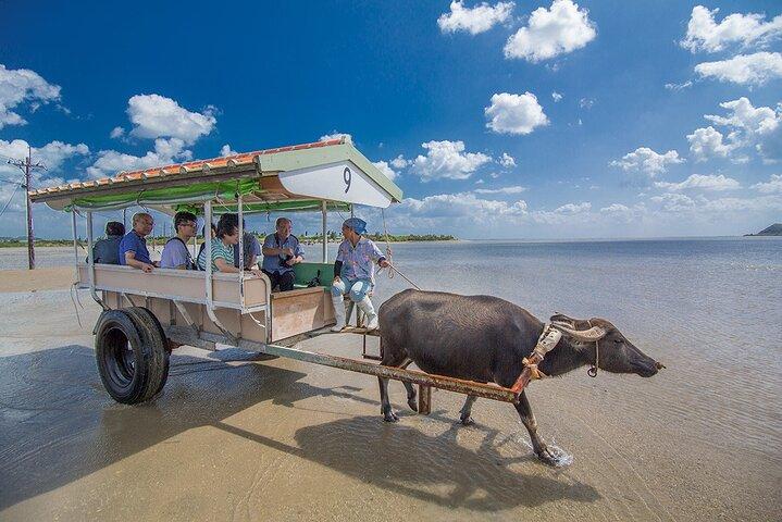 Okinawa Iriomote Island 1 Day Trip OK from Ishigaki Island!Complimentary photo data and equipment rental for Balas Island Snorkeling & Yufu Island Sightseeing
