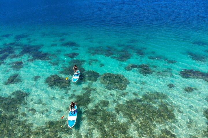Okinawa Ishigaki Kabira Bay SUP o Canoa e Snorkeling nella Grotta Azzurra