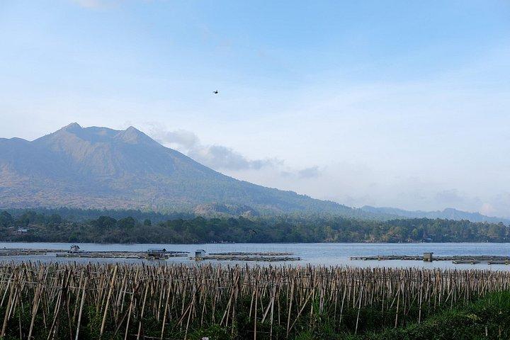 Mount Batur Jeep Sunrise & Overnight Glamping Experience
