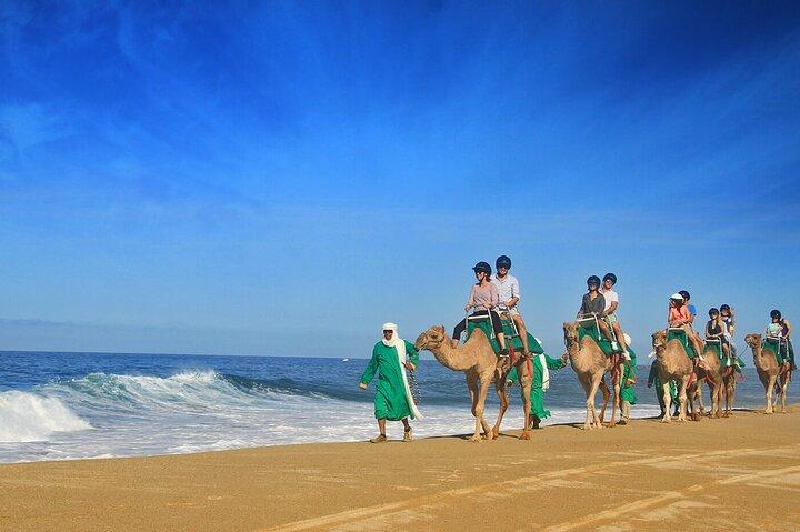Kamelritt am Strand von Los Cabos