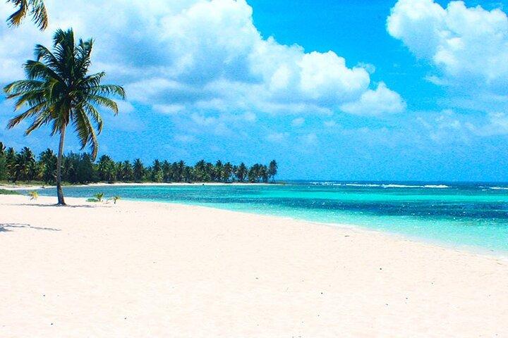 Excursão de dia inteiro para Saona Island de Uvero Alto com snorkeling