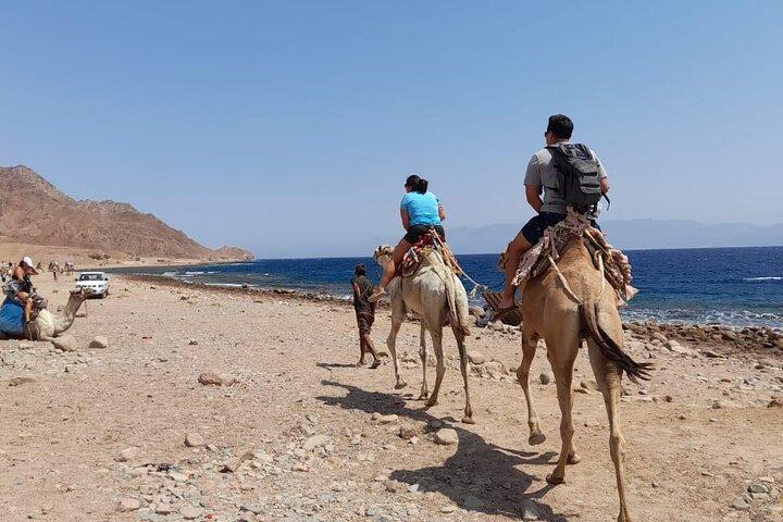 Esnórquel privado de día completo, paseo en camello en Dahab desde Sharm El Sheikh