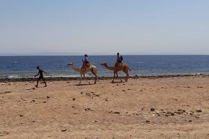 Esnórquel privado de día completo, paseo en camello en Dahab desde Sharm El Sheikh