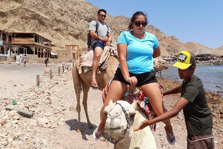 Esnórquel privado de día completo, paseo en camello en Dahab desde Sharm El Sheikh