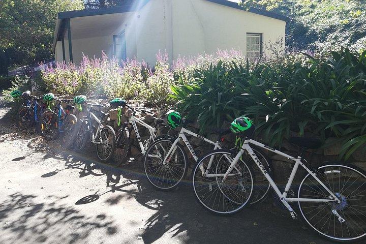 Constantia Hidden Gem Cycle Half Day - Private Tour