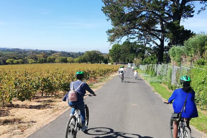Constantia Hidden Gem Cycle Half Day - Private Tour